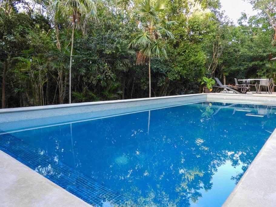 Aku-Chic Newly Furbished Condo Jungle Pool Xetna Zewnętrze zdjęcie